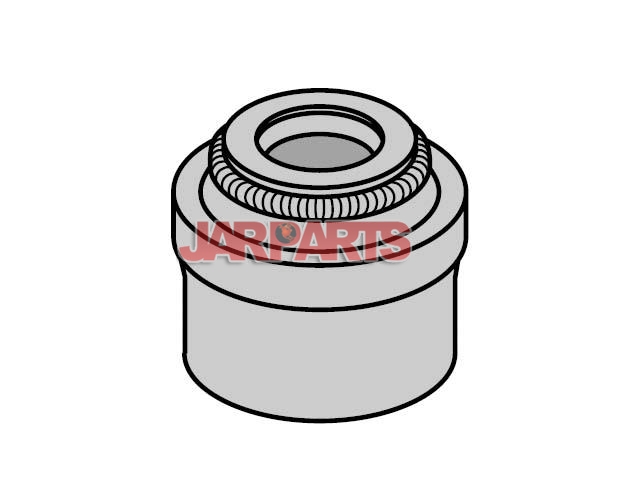 036109675A Valve Stem Seal