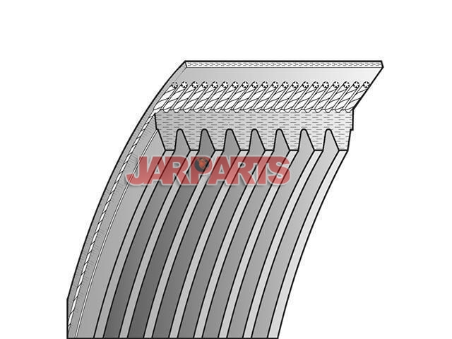 0109977392 V-Ribbed Belt