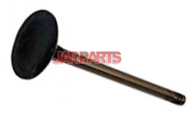 301090612025A Exhaust Valve